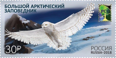 В отделениях «Почты России» начали продажу арктических марок
