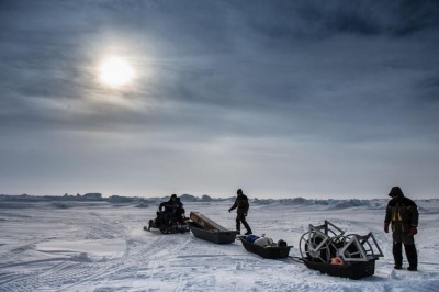 Ямальские ученые разработают способ выживания в Арктике