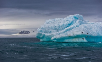 Ученые из России и Японии изучат Арктику