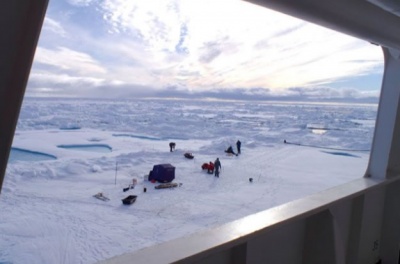 Первая промышленная выставка на тему Арктики в России состоится в Омске